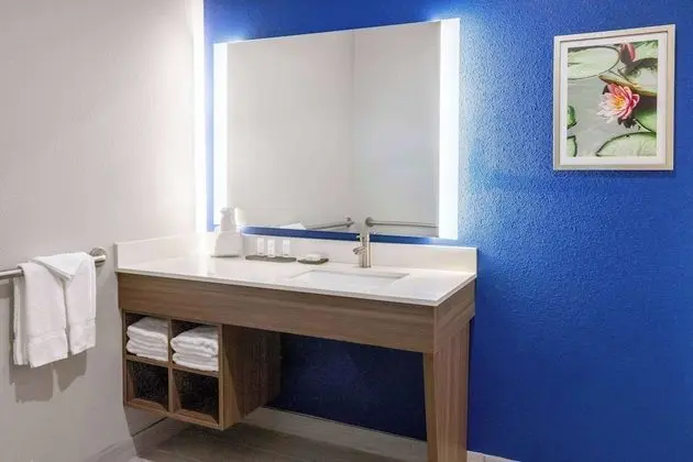 Oda, 1 En Büyük (King) Boy Yatak, Engellilere Uygun, Sigara İçilebilir (Bathtub w/ Grab Bars)
