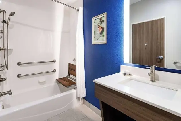 Oda, 1 En Büyük (King) Boy Yatak, Engellilere Uygun, Sigara İçilebilir (Bathtub w/ Grab Bars)
