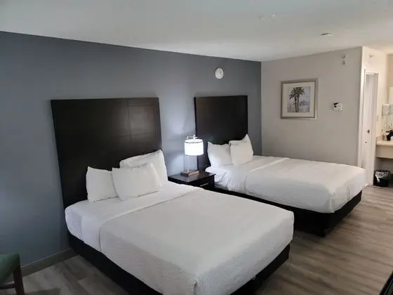 Deluxe Oda, 2 Çift Kişilik Yatak, Sigara İçilmez