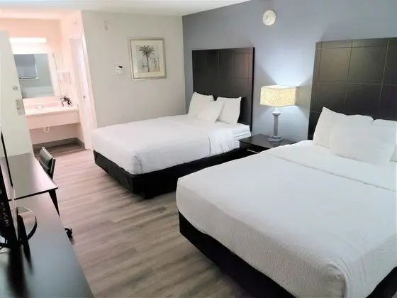 Deluxe Oda, 2 Çift Kişilik Yatak, Sigara İçilmez