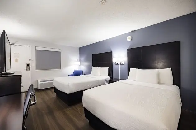 Deluxe Oda, 2 Çift Kişilik Yatak, Sigara İçilmez