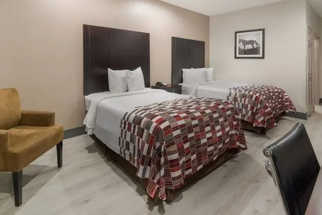 Deluxe Oda, 2 Çift Kişilik Yatak, Sigara İçilmez