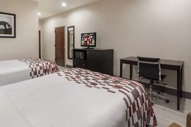 Deluxe Oda, 2 Çift Kişilik Yatak, Sigara İçilmez