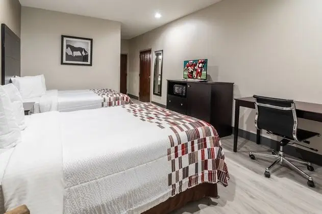 Deluxe Oda, 2 Çift Kişilik Yatak, Sigara İçilmez