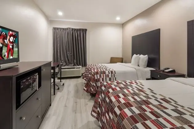 Deluxe Oda, 2 Çift Kişilik Yatak, Sigara İçilmez
