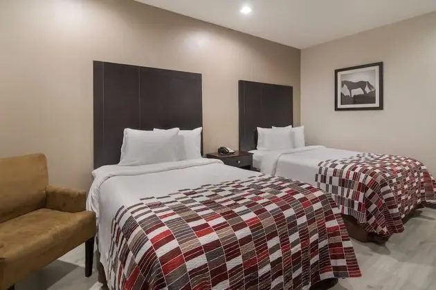 Deluxe Oda, 2 Çift Kişilik Yatak, Sigara İçilmez
