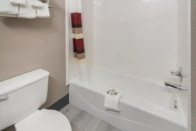 Deluxe Oda, 2 Çift Kişilik Yatak, Sigara İçilmez