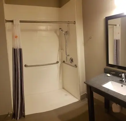Deluxe Oda, 1 En Büyük (King) Boy Yatak, Engellilere Uygun, Sigara İçilmez (Mobility Accessible)