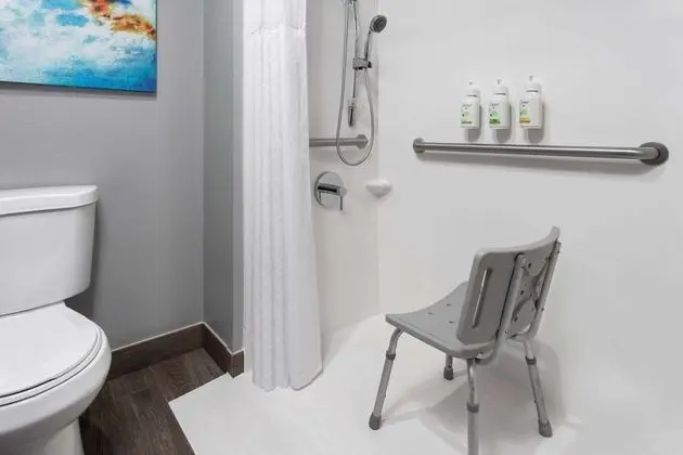 Oda, 1 En Büyük (King) Boy Yatak, Engellilere Uygun, Sigara İçilmez (Mobility, Roll-In Shower)
