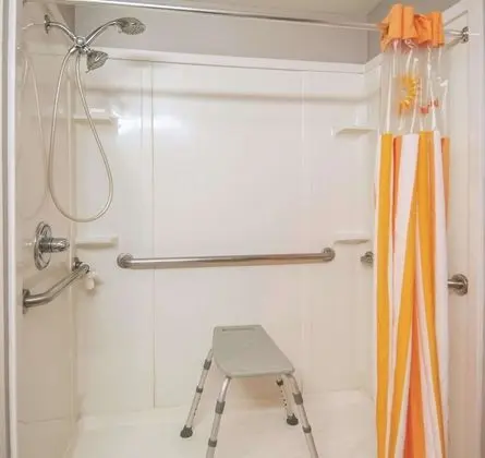 Oda, 1 Çift Kişilik Yatak, Engellilere Uygun, Sigara İçilmez (Mobility/Hearing, Roll-In Shower)