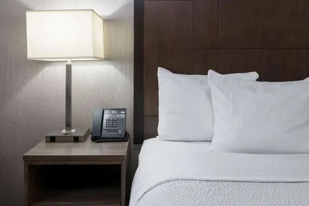 Deluxe Süit, 1 En Büyük (King) Boy Yatak, Sigara İçilmez (Deluxe Executive Suite)