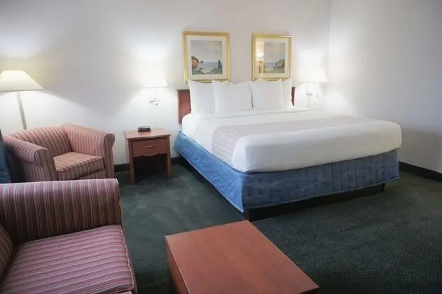 Deluxe Oda, 1 En Büyük (King) Boy Yatak, Sigara İçilmez (Deluxe Executive Room)