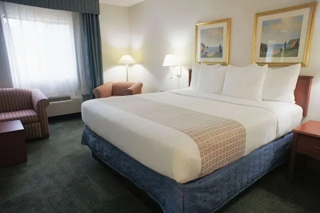 Deluxe Oda, 1 En Büyük (King) Boy Yatak, Sigara İçilmez (Deluxe Executive Room)