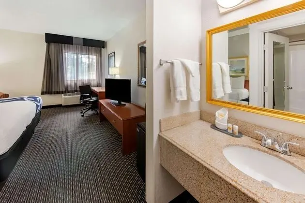 Deluxe Oda, 1 En Büyük (King) Boy Yatak, Sigara İçilmez (Deluxe Executive Room)