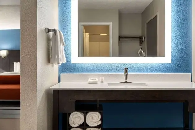Deluxe Süit, 1 En Büyük (King) Boy Yatak, Sigara İçilmez (1 Bedroom)
