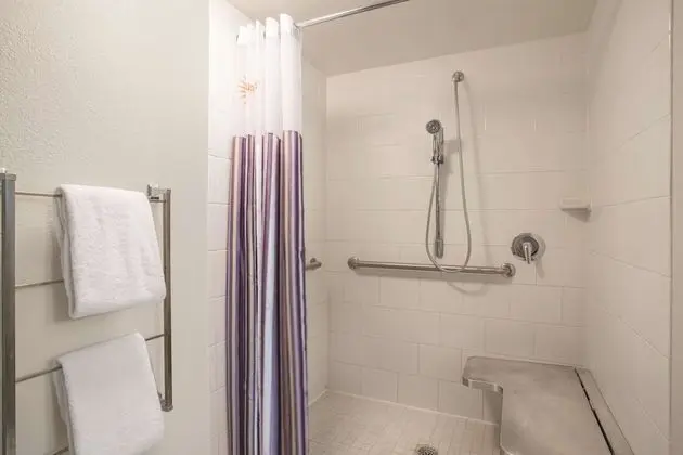 Oda, 1 Çift Kişilik Yatak, Engellilere Uygun, Sigara İçilmez (Mobility/Hearing, roll-in shower)
