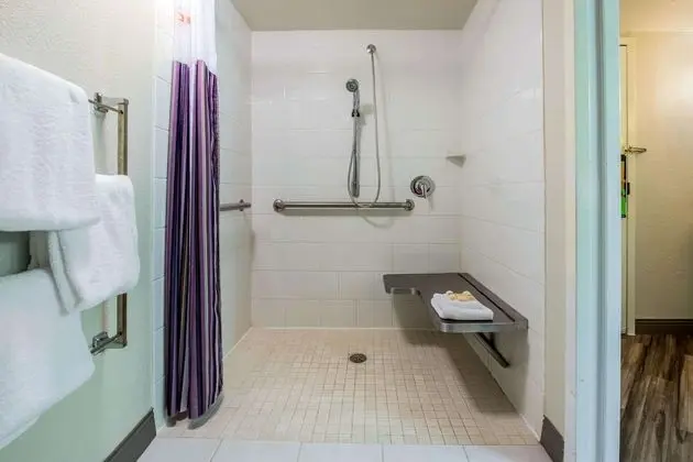 Oda, 1 Çift Kişilik Yatak, Engellilere Uygun, Sigara İçilmez (Mobility/Hearing, roll-in shower)