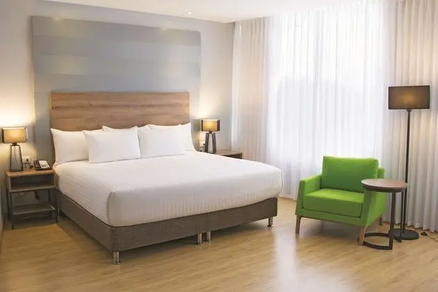 Room, 1 King Bed,Non Smoking, Accessible (Mobility Accessible)