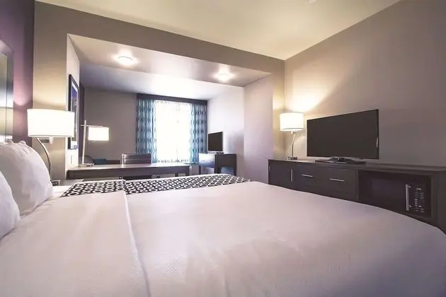 Deluxe Oda, 1 En Büyük (King) Boy Yatak, Engellilere Uygun, Sigara İçilmez (Mobility Accessible)