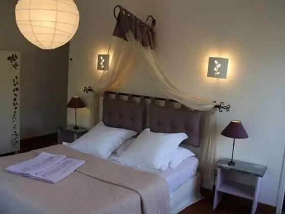 Standard Tek Büyük Yataklı Oda, Banyolu/Duşlu, Bahçe Manzaralı