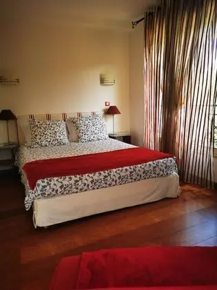 Standard Tek Büyük Yataklı Oda, Banyolu/Duşlu, Bahçe Manzaralı