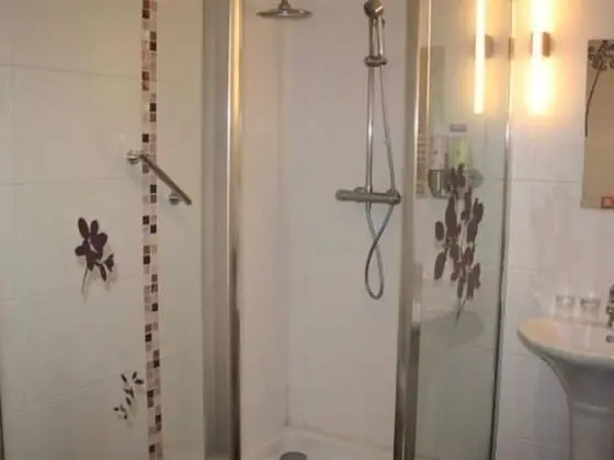 Standard Tek Büyük Yataklı Oda, Banyolu/Duşlu, Bahçe Manzaralı