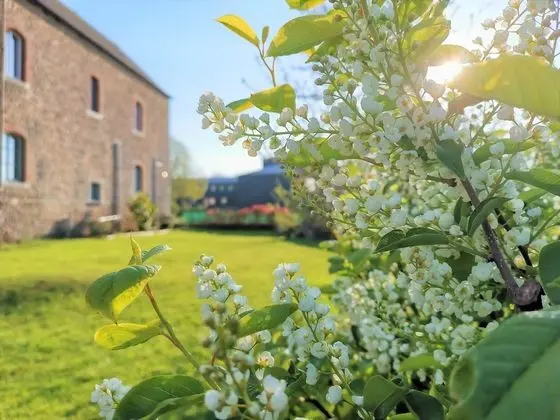 Junior Tek Büyük Yataklı Oda, Sigara İçilmez, Şehir Manzaralı (Musique)