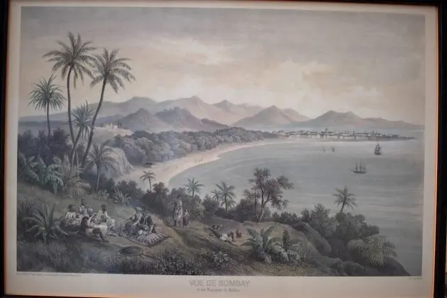 Deluxe Tek Büyük Yataklı Oda, Banyolu/Duşlu (Bombay)