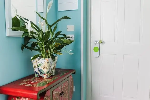 Standard Tek Büyük Yataklı Oda