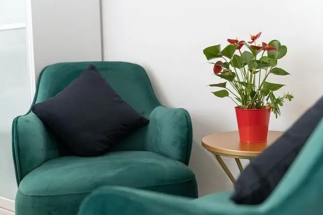 Superior Tek Büyük Yataklı Oda