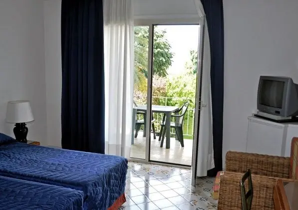 Tek Büyük veya İki Ayrı Yataklı Oda, Park Manzaralı