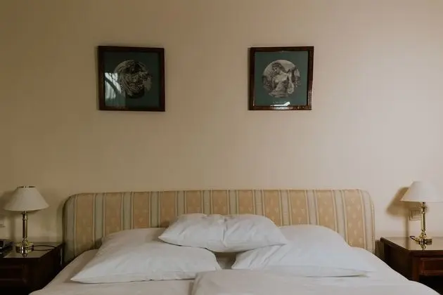 Deluxe Tek Büyük Yataklı Oda, 1 Çift Kişilik Yatak, Bahçe Manzaralı