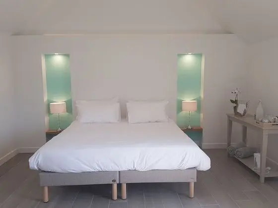Deluxe Üç Kişilik Oda, Banyolu/Duşlu, Havuz Manzaralı (Attachante)