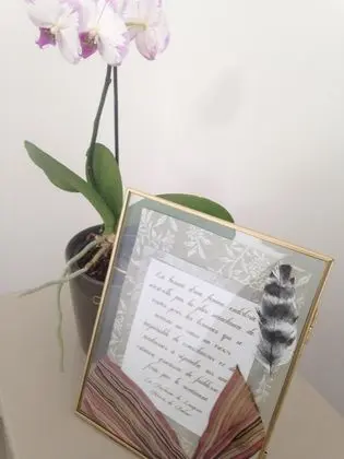 Deluxe Üç Kişilik Oda, Banyolu/Duşlu, Havuz Manzaralı (Attachante)
