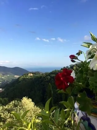 Deluxe Süit, Balkon, Deniz Manzaralı