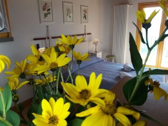 Apart Daire, 5 Yatak Odası