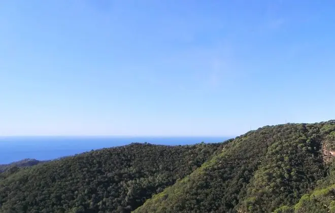 Tek Büyük Yataklı Oda, Deniz Manzaralı