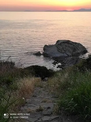 Apart Daire, 1 Yatak Odası, Teras