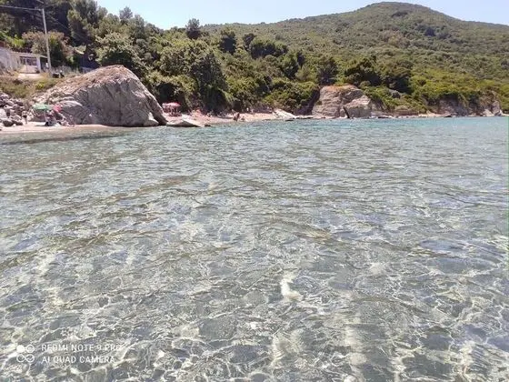 Apart Daire, 1 Yatak Odası, Teras