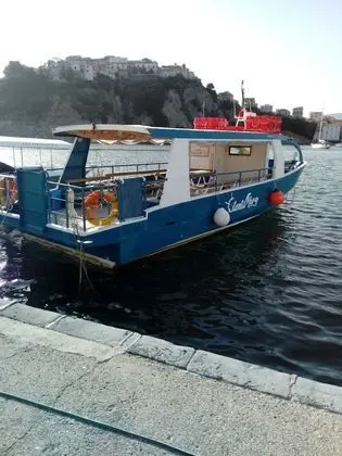 Apart Daire, 1 Yatak Odası, Teras