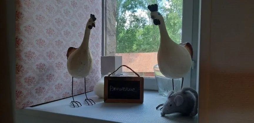 Tek Büyük Yataklı Oda