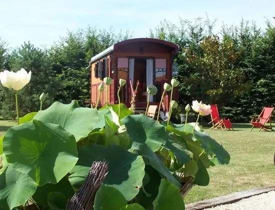 Karavan, 1 Yatak Odası