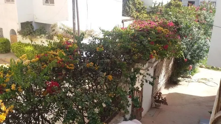 Romantic Tek Büyük Yataklı Oda