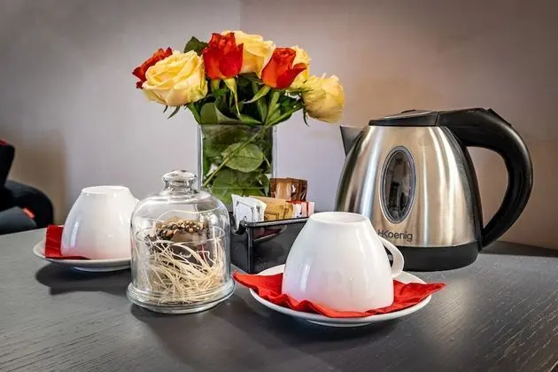 Superior Tek Büyük veya İki Ayrı Yataklı Oda, Bahçe Manzaralı