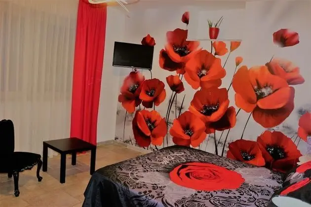 Tek Büyük Yataklı Oda, Sigara İçilmez