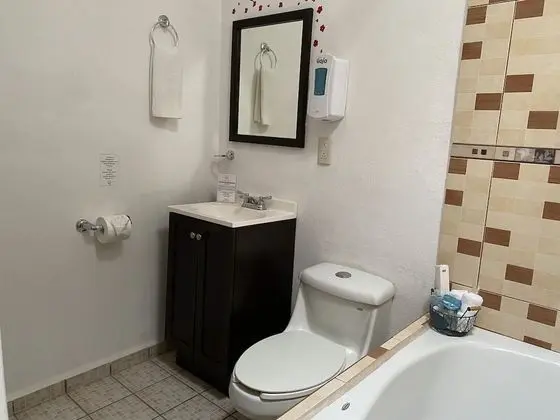 Superior Tek Büyük Yataklı Oda