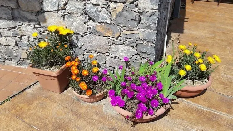 Apart Daire, 1 Yatak Odası, Zemin Kat