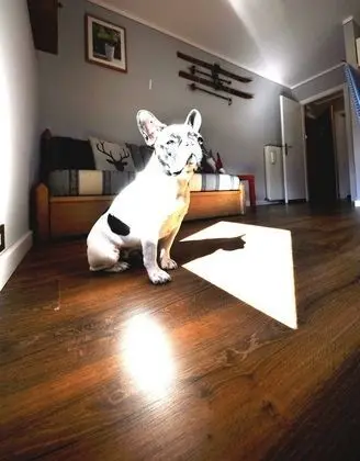 Standard Apart Daire, Balkon, Dağ Manzaralı (2 Beds)