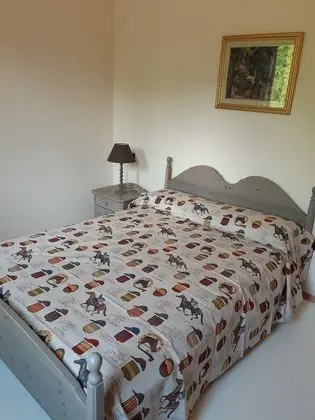 Tek Büyük Yataklı Oda, Özel Banyo, Dağ Manzaralı