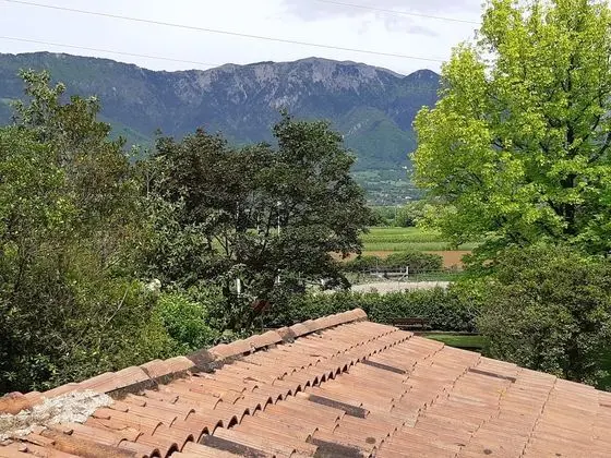 Tek Büyük Yataklı Oda, Özel Banyo, Dağ Manzaralı